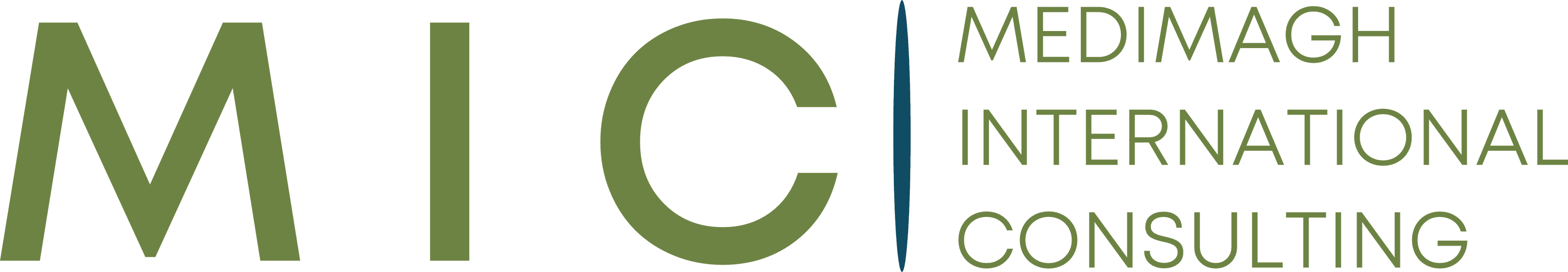 Medimagh International Consulting — international consulting cabinet for public health and health governance